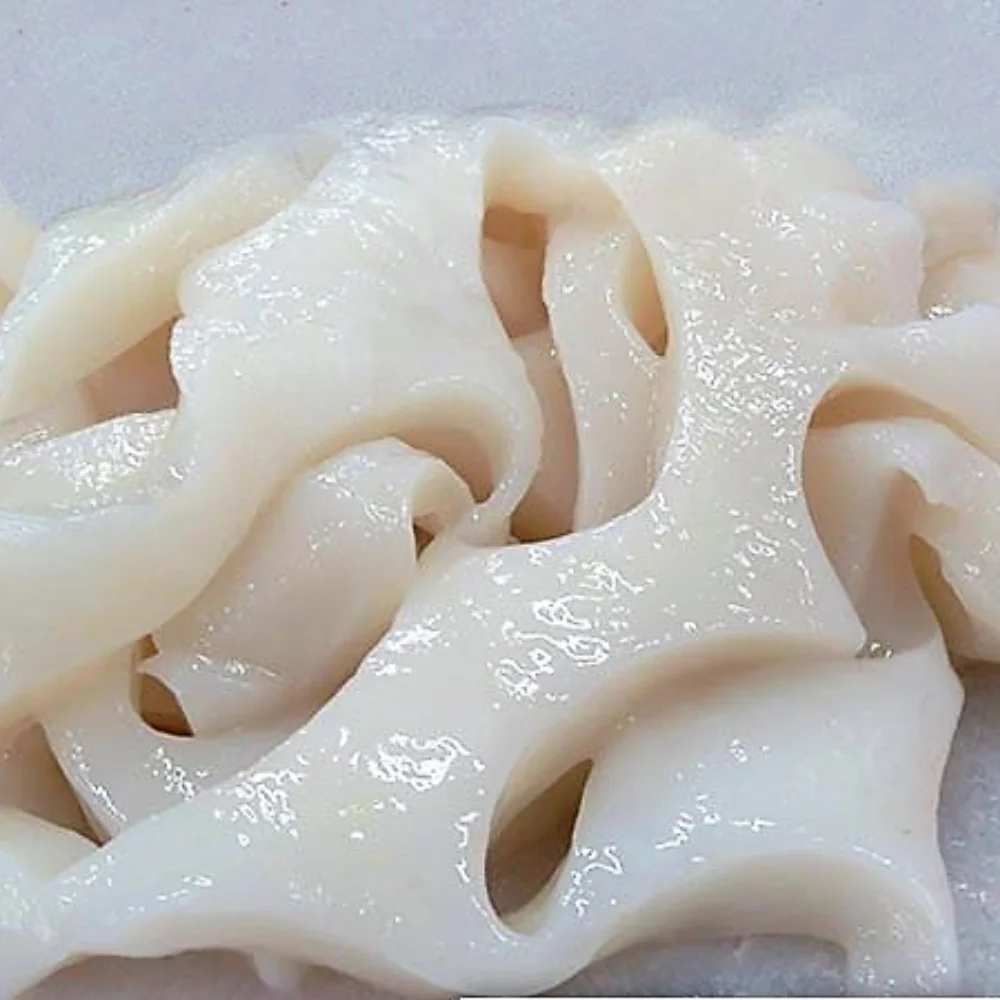 164 GIANT SQUID BITS & PIECES