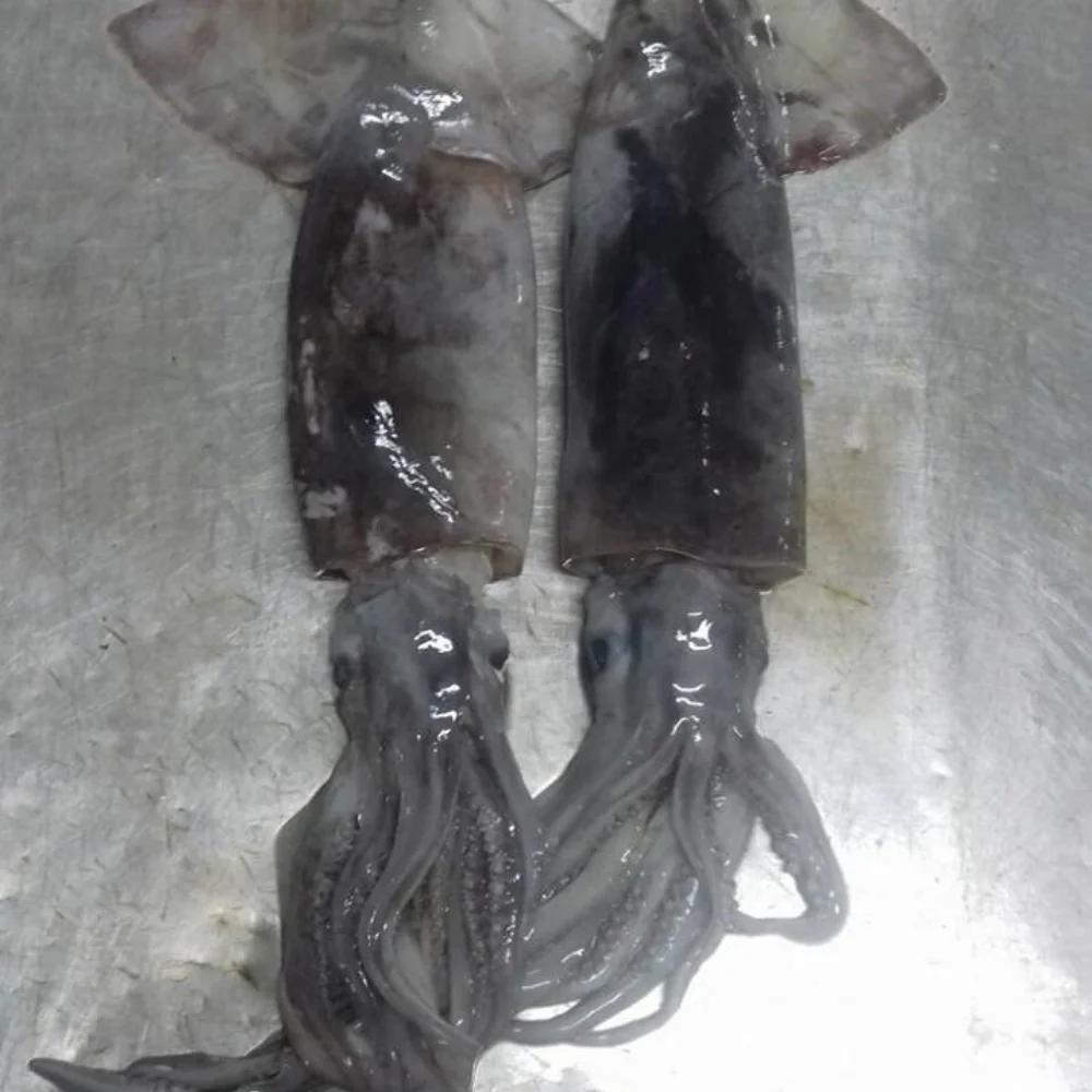 165 BABY SQUID