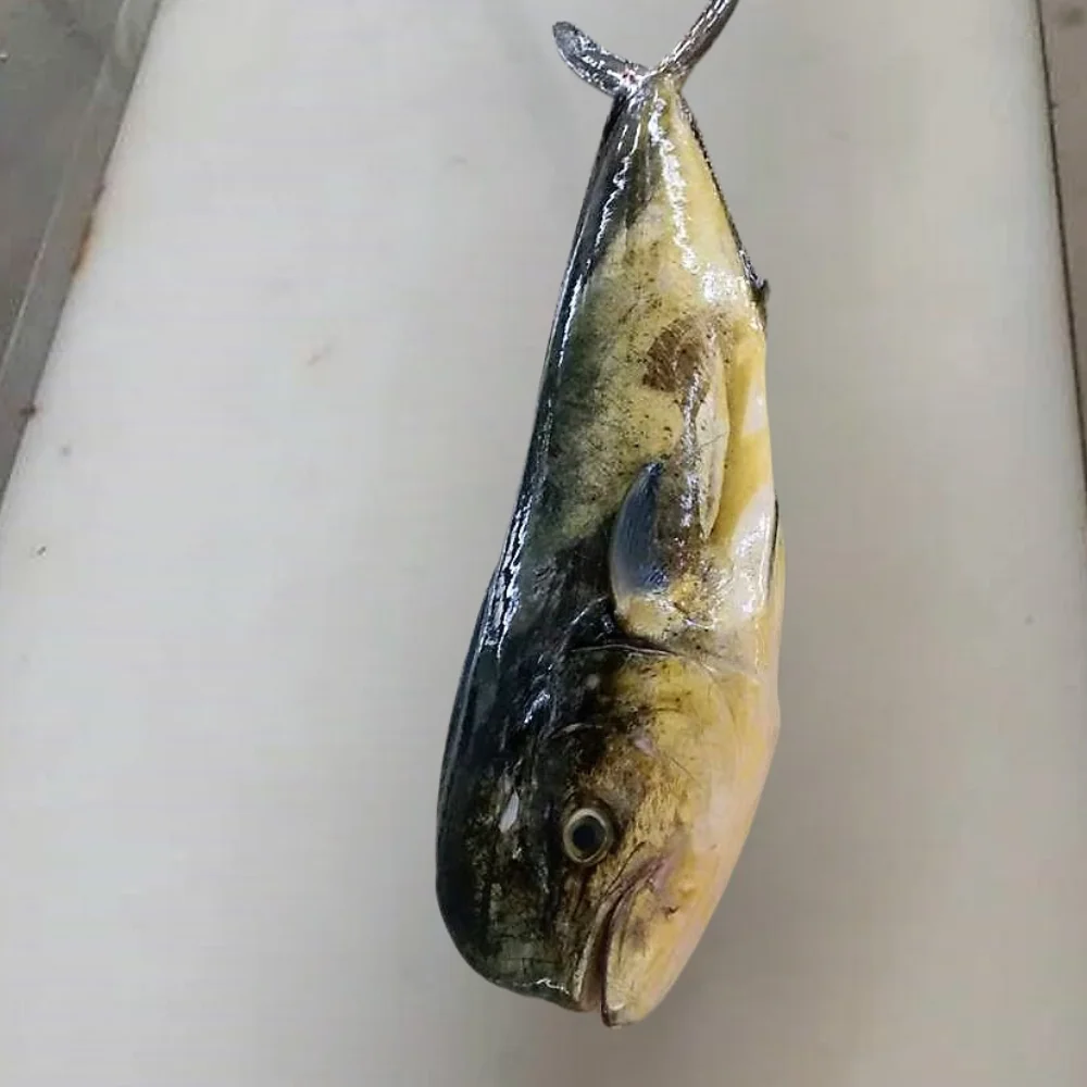 MAHI MAHI