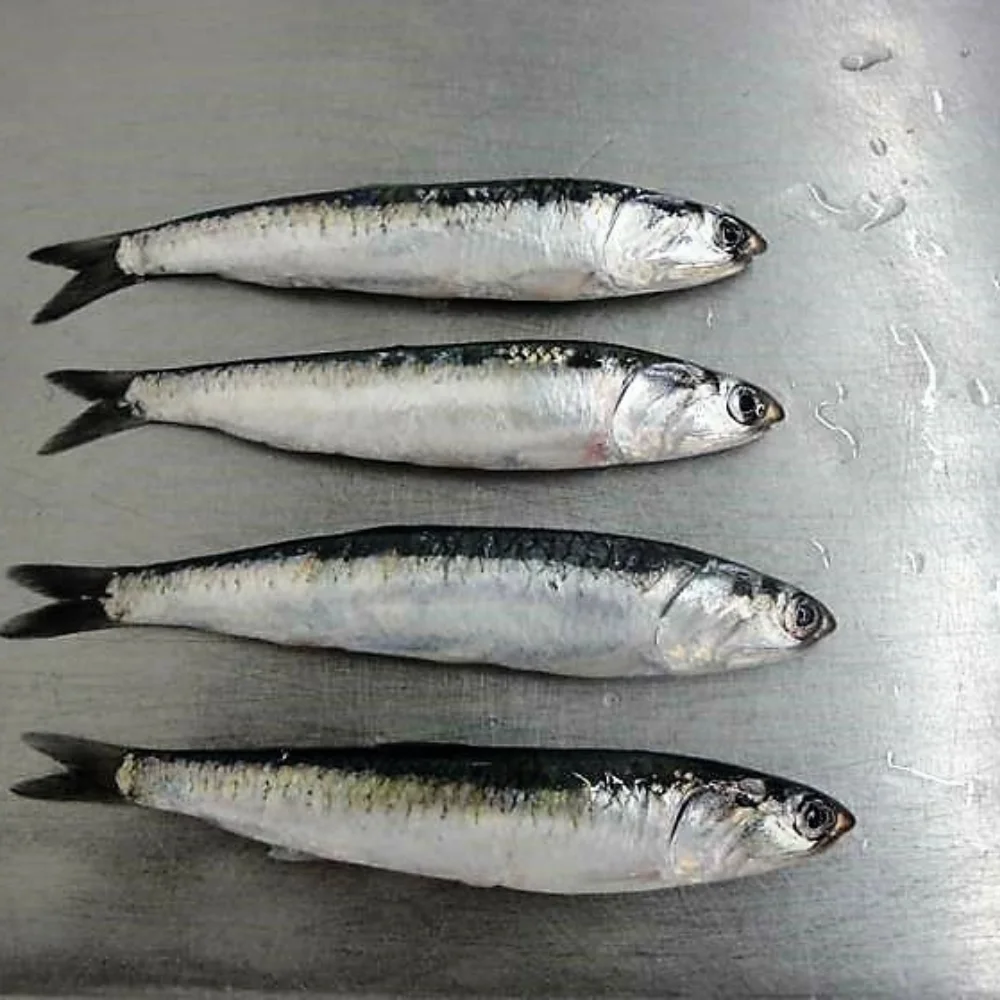 PRODUCTOS VARIOS (91) REPARACIÓN DE CELULARES<br />
IPHONE -ANDROID