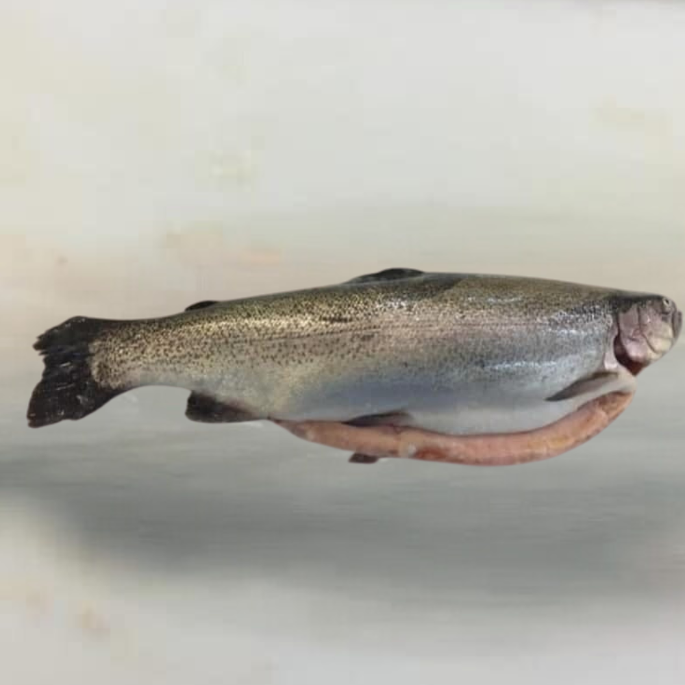 PRODUCTOS VARIOS (93) REPARACIÓN DE CELULARES<br />
IPHONE -ANDROID