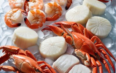 Descubre los Secretos de los Productos Congelados del Mar
